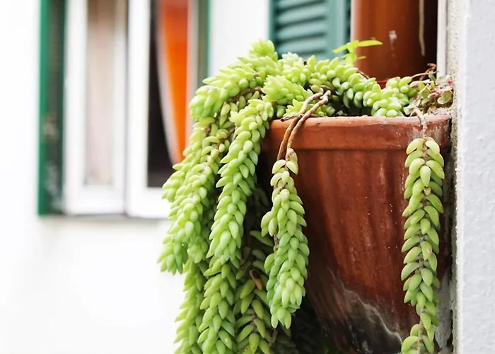 Terrazza Dei Principi Pensjonat Neapol