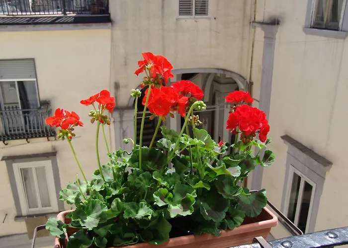 Terrazza Dei Principi Pensjonat Neapol