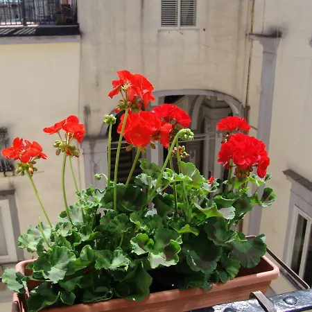 Terrazza Dei Principi ゲストハウス ナポリ